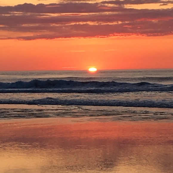 Meet your Posher, Duncan - Picture 1 of 1